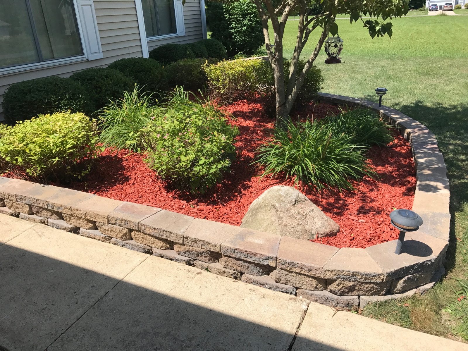 Landscape bed with vibrant green plants and red mulch contrast