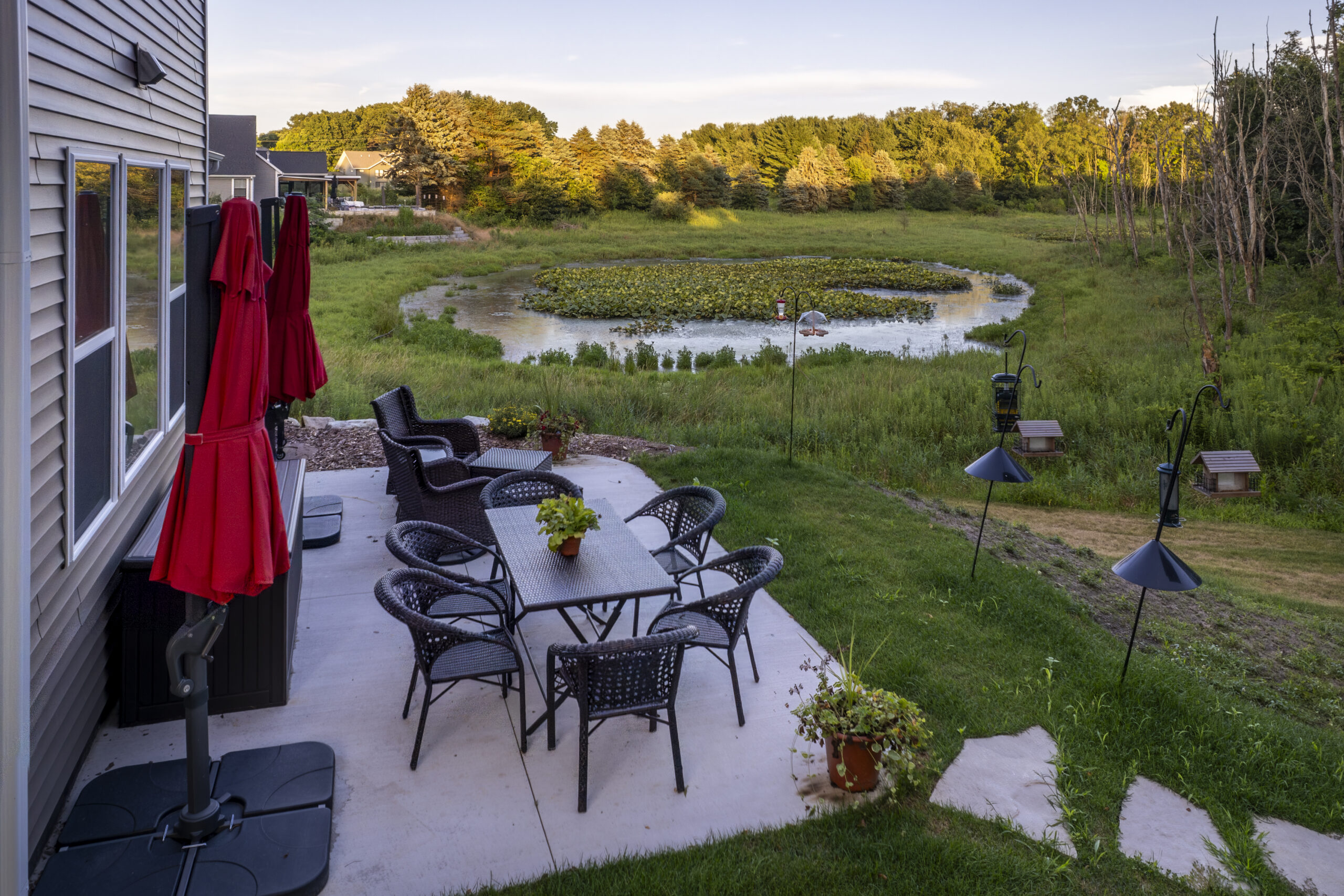Koi and Ecosystem Ponds