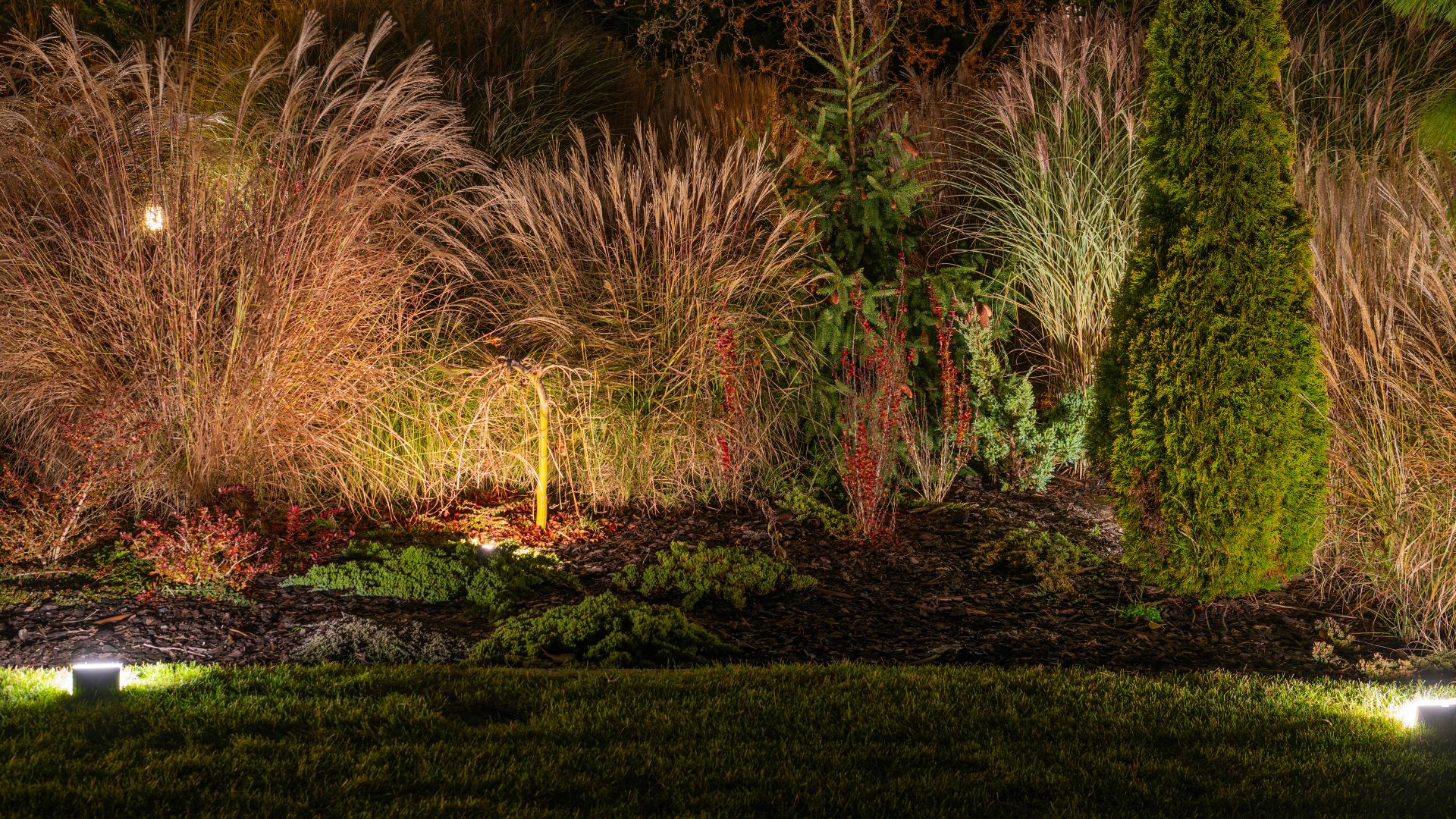Tree Uplighting